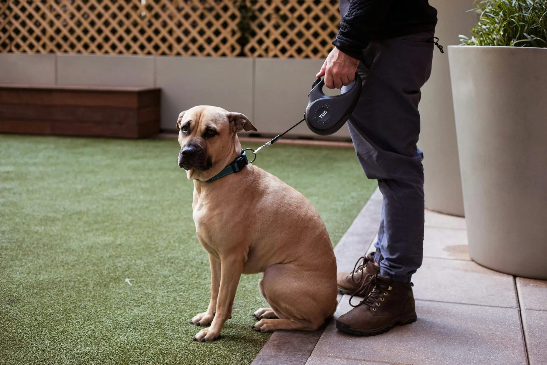 A dog sitting beside a handler outdoors; illustrative photograph